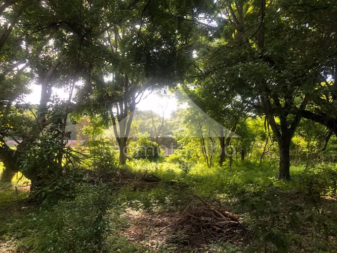 Terreno en Venta Veracruz, Managua