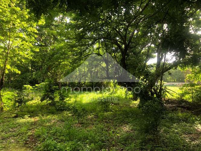Terreno en Venta Veracruz, Managua