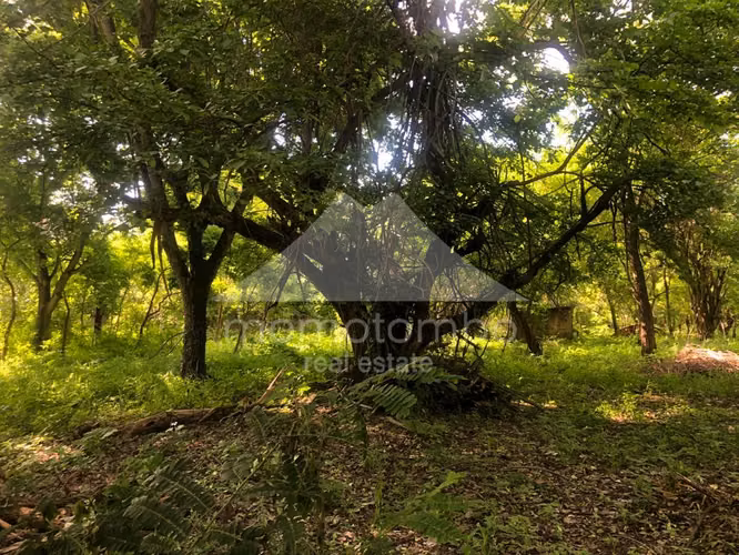 Terreno en Venta Veracruz, Managua - Imagen 31