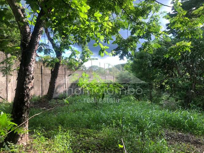 Terreno en Venta Veracruz, Managua