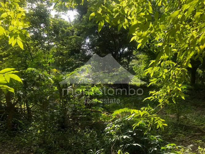 Terreno en Venta Veracruz, Managua