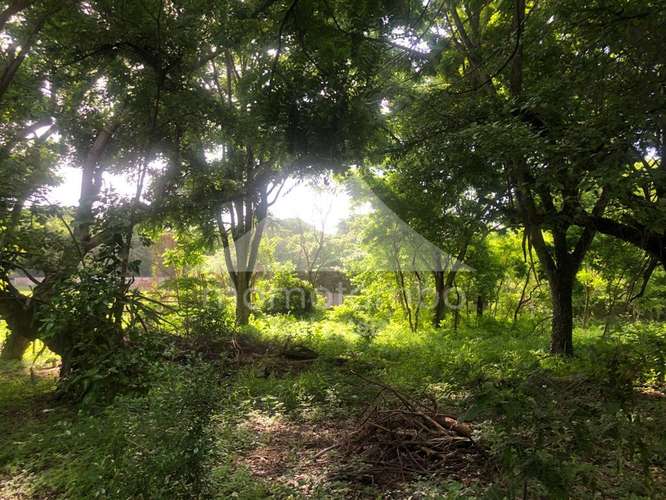 Terreno en Venta Veracruz, Managua