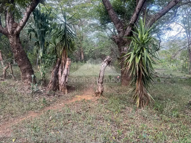 Terreno en Venta Veracruz, Managua - Imagen 9