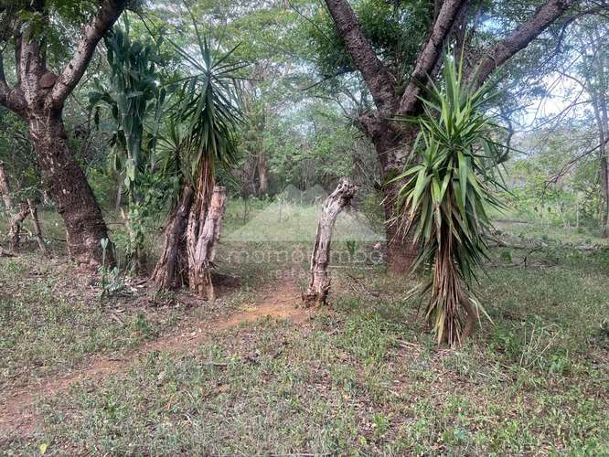 Terreno en Venta Veracruz, Managua