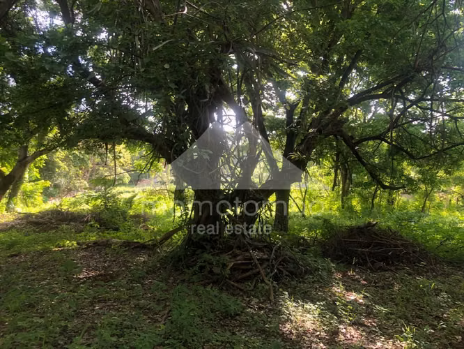 Terreno en Venta Veracruz, Managua