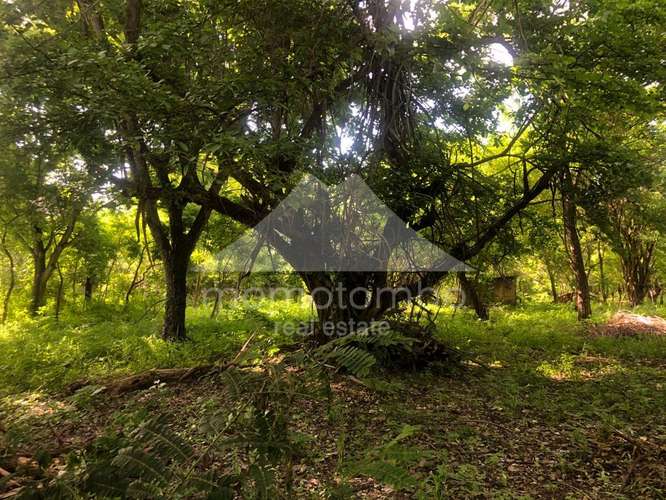Terreno en Venta Veracruz, Managua