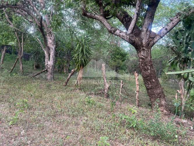 Terreno en Venta Veracruz, Managua