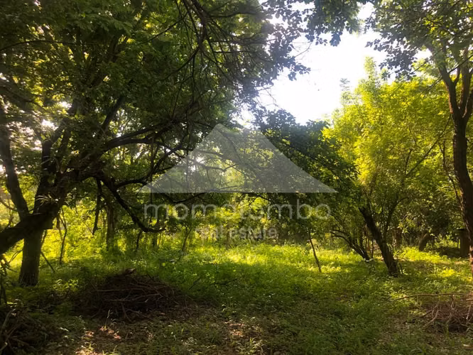 Terreno en Venta Veracruz, Managua