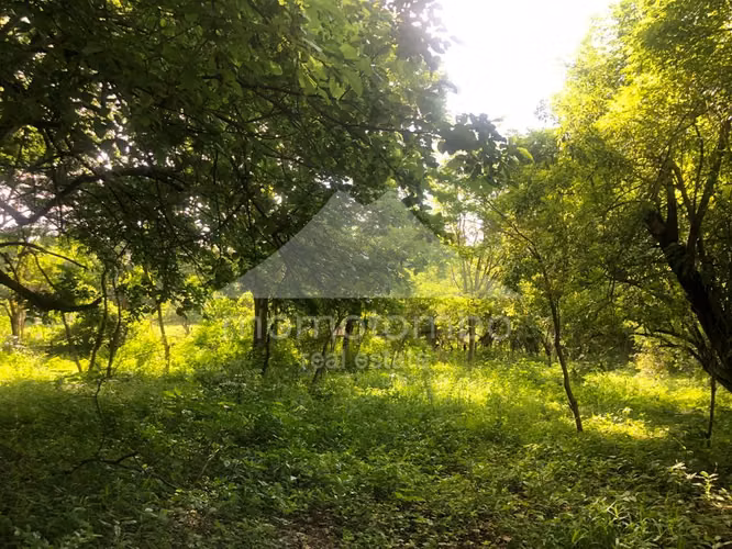 Terreno en Venta Veracruz, Managua - Imagen 23