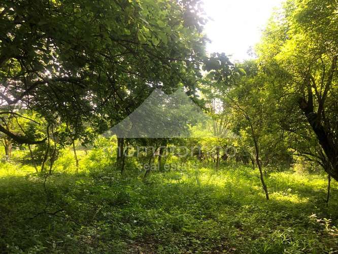 Terreno en Venta Veracruz, Managua
