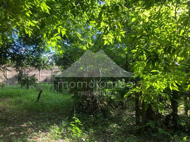 Terreno en Venta Veracruz, Managua