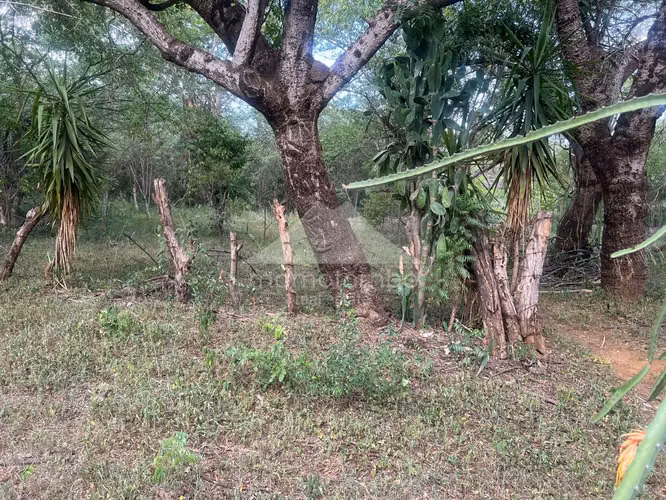 Terreno en Venta Veracruz, Managua