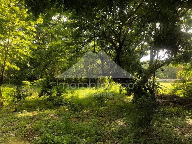 Terreno en Venta Veracruz, Managua - Imagen 22