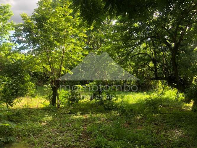 Terreno en Venta Veracruz, Managua
