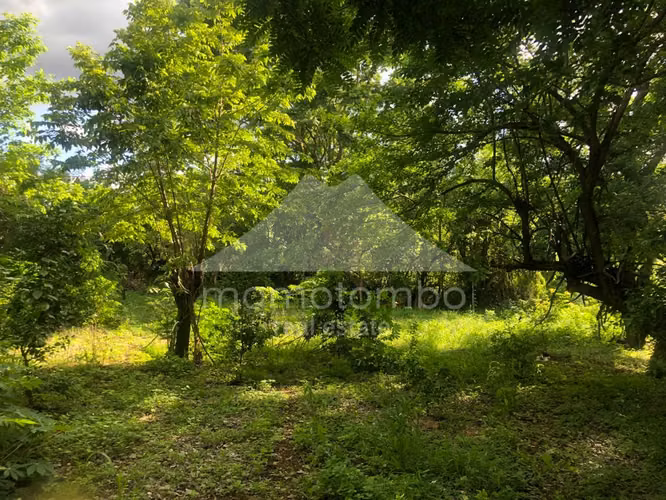 Terreno en Venta Veracruz, Managua