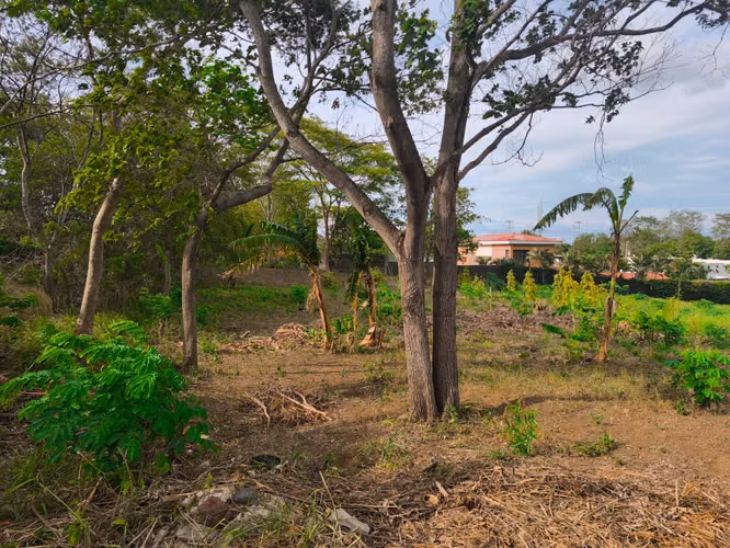 Vendo Terreno en Carretera a Masaya- VZ - Imagen 6