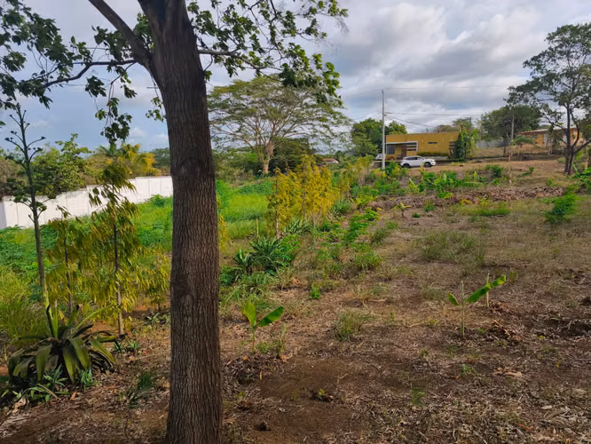 Vendo Terreno en Carretera a Masaya- VZ - Imagen 7