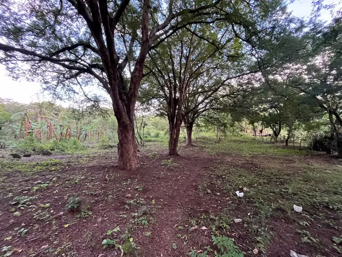 TERRENO EN VENTA | CARRETERA MASAYA KM 10.5 – SAN ANTONIO SUR - Imagen 8