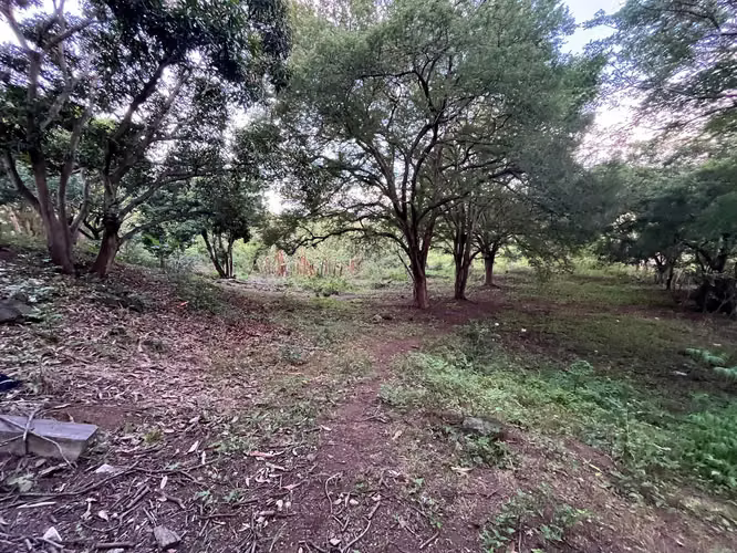 TERRENO EN VENTA | CARRETERA MASAYA KM 10.5 – SAN ANTONIO SUR - Imagen 5