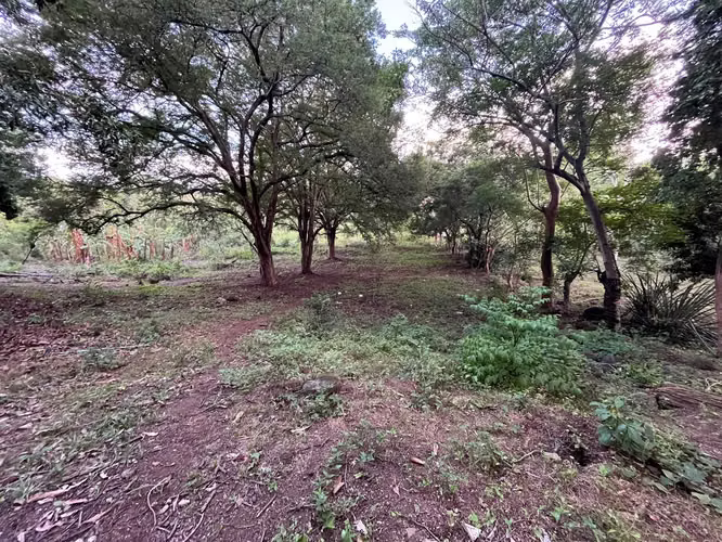 LAND FOR SALE - 124; ROAD MASAYA KM 10.5 - SAN ANTONIO SUR
