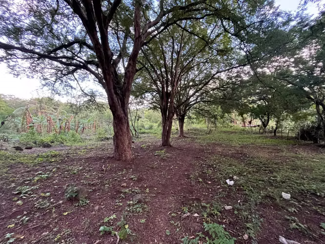 TERRENO EN VENTA | CARRETERA MASAYA KM 10.5 – SAN ANTONIO SUR - Imagen 7