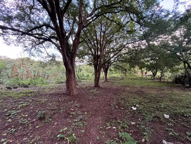 TERRENO EN VENTA | CARRETERA MASAYA KM 10.5 – SAN ANTONIO SUR - Imagen 6
