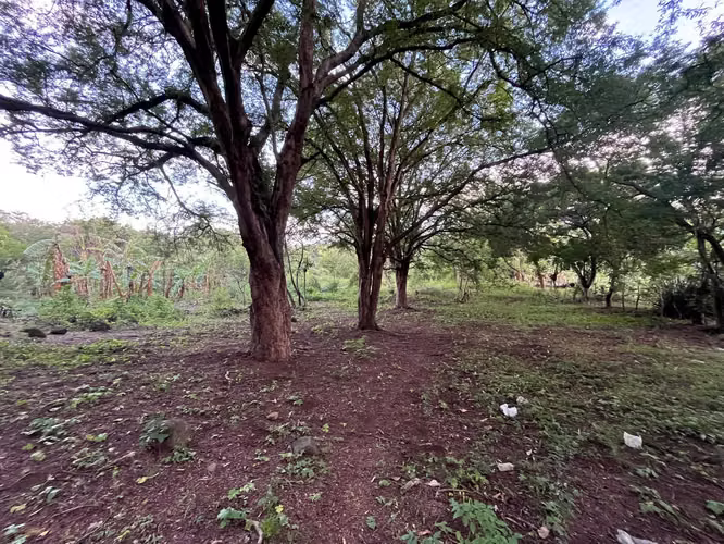 TERRENO EN VENTA | CARRETERA MASAYA KM 10.5 – SAN ANTONIO SUR - Imagen 9