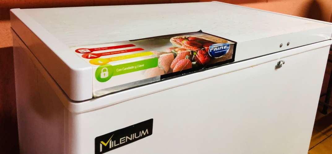 Freezer Millenium - Imagen 2