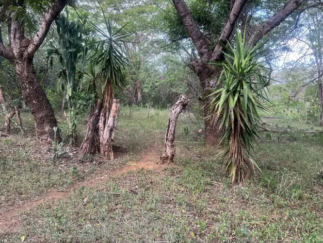 Venta de Terreno en Veracruz  - Imagen 6