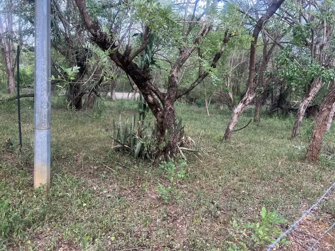 Venta de Terreno en Veracruz  - Imagen 4