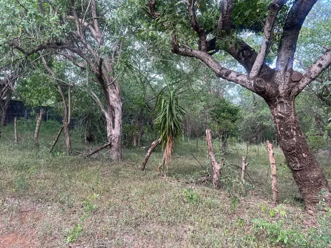 Venta de Terreno en Veracruz  - Imagen 5