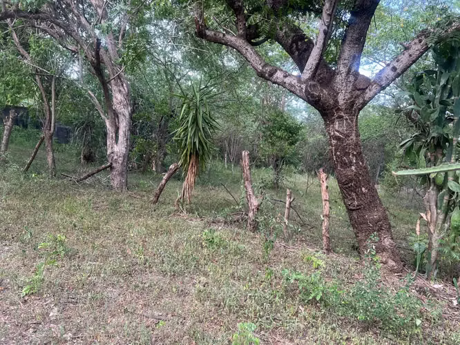 Venta de Terreno en Veracruz  - Imagen 11