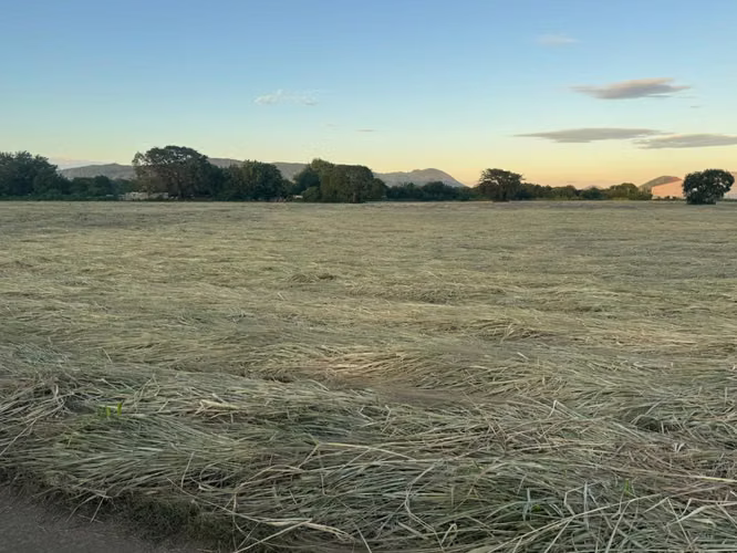 Venta de Terreno en Carreter Nueva a Leon 