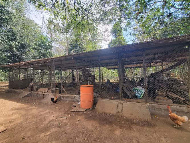 NO-Vendo finca en San Marcos km 44