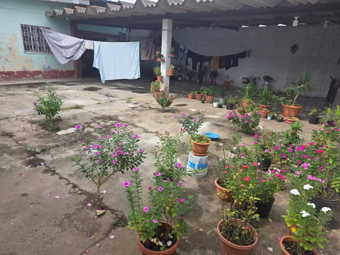 terreno en alquier