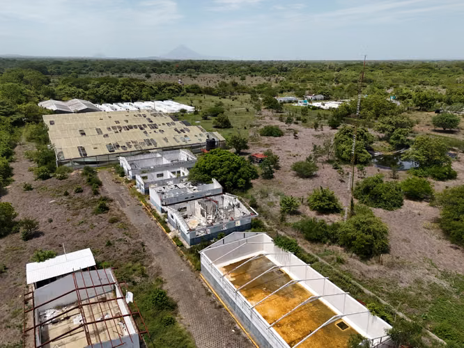 Prime Agricultural   Industrial Investment Between Managua and Le n - Imagen 3