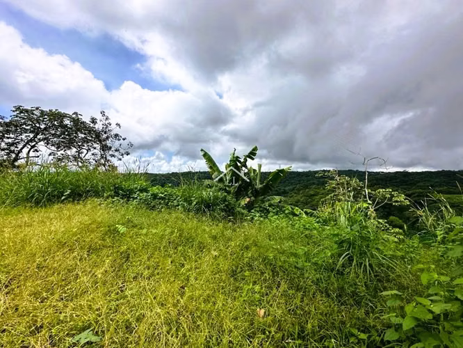 LL - Se Vende Terreno en Las Nubes, El Crucero con 15,000 v² de terreno - Imagen 4