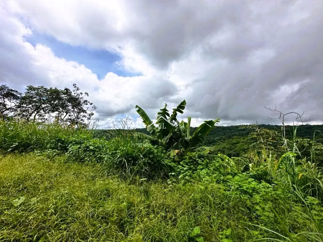 LL - Se Vende Terreno en Las Nubes, El Crucero con 15,000 v² de terreno - Imagen 8