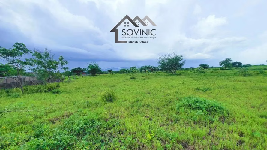 Land for Sale km 33 Pan American Road North
