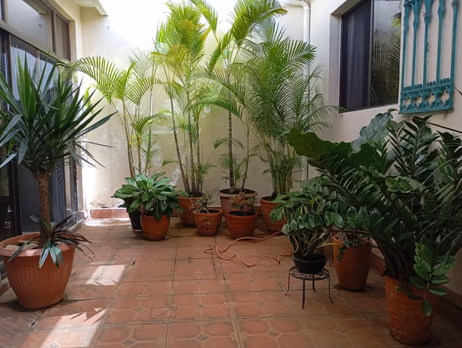 Casa Colonisl Los Robles