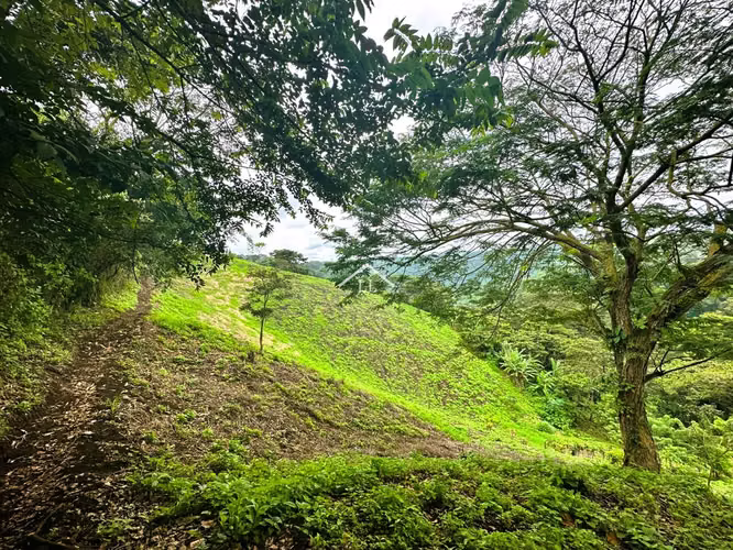 LL - Se Vende Terreno en Las Nubes, El Crucero con un Área del terreno de 5,000 v²