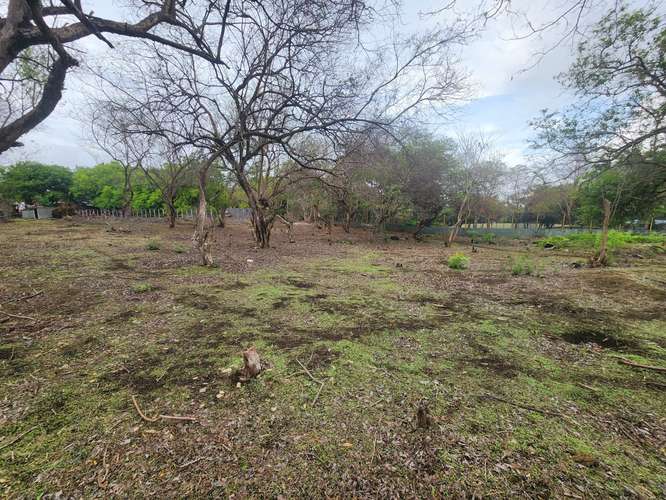  Amplio terreno en venta – Km 12.5 Carretera a Masaya - Imagen 8