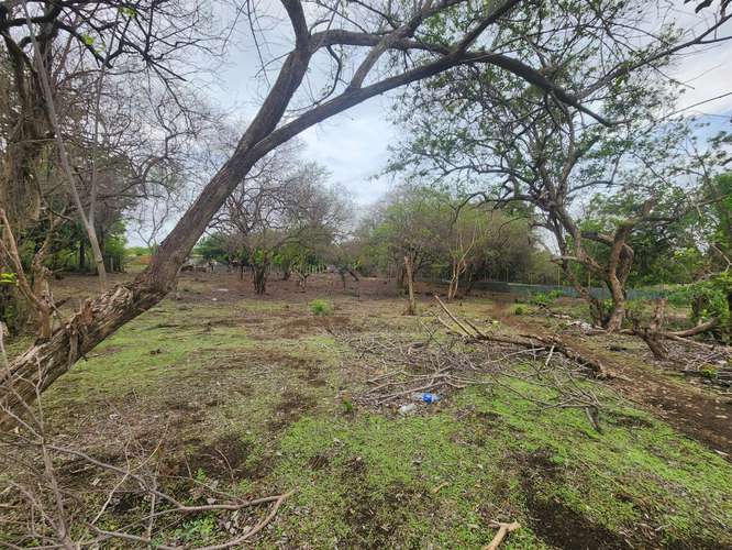  Amplio terreno en venta – Km 12.5 Carretera a Masaya - Imagen 10