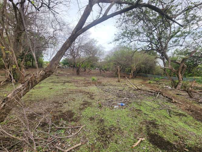  Amplio terreno en venta – Km 12.5 Carretera a Masaya - Imagen 11