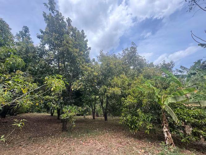 Venta de Terreno en Santo Domingo  - Imagen 18