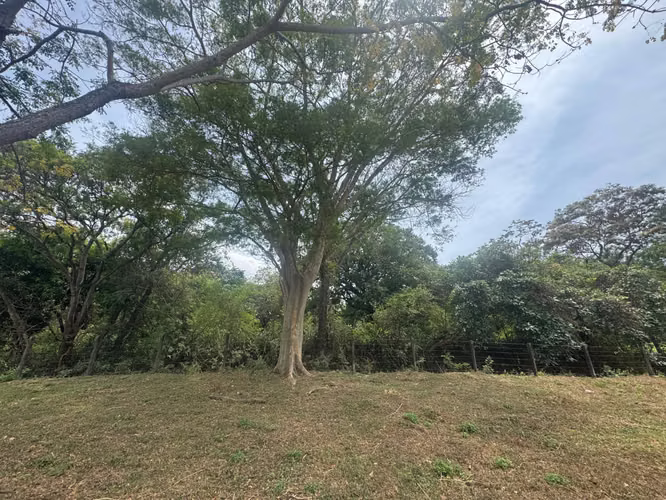 Venta de Terreno en Santo Domingo  - Imagen 3
