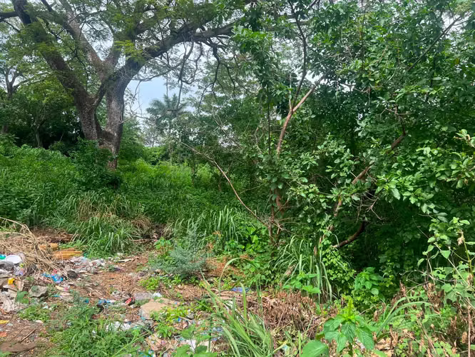 Venta de Terreno en Carretera Sur  - Imagen 10
