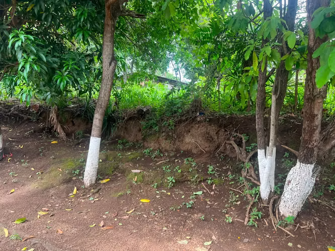 Venta de Terreno en Carretera Sur  - Imagen 12