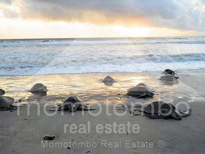 Casa de Playa en Venta &amp; Renta san juan del sur/playa el coco, rivas