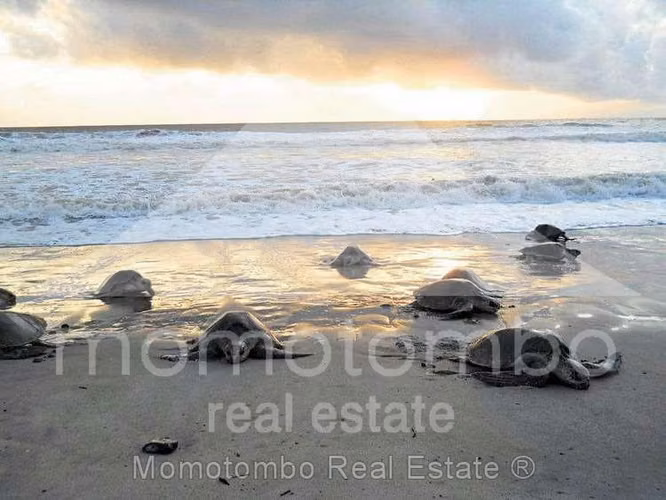 Casa de Playa en Venta &amp; Renta san juan del sur/playa el coco, rivas